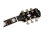 Transparent Amber - Headstock
