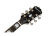 Transparent Black - Headstock