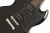 Ebony - Pickups