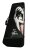 Case