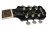 Translucent Black - Headstock