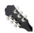 Headstock - Back