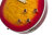 Heritage Cherry Sunburst Controls
