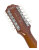 Headstock Back