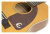 Pickguard