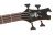 Transparent Black Satin Headstock