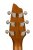 Back of Headstock