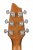 Back of Headstock