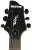 Headstock Detail