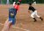 In Use - Sports