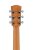 Headstock Back