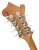 Closeup Headstock (Back)