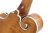 Closeup Neck Joint