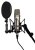 With Shockmount and Pop Filter