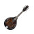 Dark Violin Sunburst