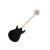 Satin Ebony Back