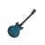Blue Stain Back