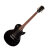 Gloss Ebony