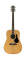 Alvarez RD17 Dreadnought Acoustic Guitar