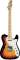 Fender Classic Series 69 Telecaster Thinline Electric Guitar with Gig Bag