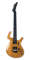 Parker Fly Mojo Electric Guitar (with Case)