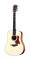 Taylor 310 Dreadnought Acoustic Guitar (with Case)