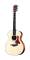 Taylor 314 Grand Auditorium Acoustic Guitar (with Case)