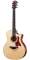 Taylor 314CE Acoustic-Electric Guitar with Case