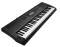 Casio CTK3000 61-Key Touch Sensitive Electronic Keyboard with USB