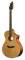 Breedlove C250CM Passport Series Acoustic-Electric Guitar (with Gig Bag)