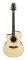 Ibanez A100LE Ambience Left-Handed Acoustic-Electric Guitar