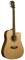 Washburn WD10SCE Dreadnought Acoustic-Electric Guitar