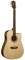 Washburn WD20SCE Dreadnought Acoustic-Electric Guitar