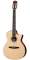 Taylor 814CEN Grand Auditorium Classical Acoustic-Electric Guitar (with Case) Reviews