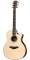 Taylor 814CE Acoustic-Electric Guitar with Case