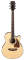 Ibanez PC25ECE PF Series Concert Acoustic-Electric Guitar (with Case)