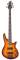 Schecter Omen Extreme-5 5-String Electric Bass Reviews