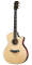 Taylor 914CE 2012 Grand Auditorium Cutaway Acoustic-Electric Guitar with Case