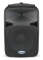Samson Auro D12 Loudspeaker, 12"