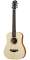 Taylor BT1 Baby Taylor Acoustic Guitar with Gig Bag