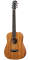 Taylor BT2 Baby Taylor Acoustic Guitar with Gig Bag