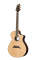 Breedlove Cascade C25/CRE Acoustic Electric Guitar with Case