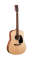 Martin D-1GT Dreadnought Acoustic Guitar, with Case Reviews