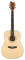 ESP LTD Xtone D5 Acoustic Guitar