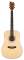 ESP LTD Xtone D5 Acoustic Guitar