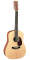 Martin D12X1AE Acoustic-Electric Guitar, 12-String