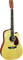 Martin DCX1E Dreadnought Cutaway Acoustic-Electric Guitar