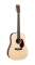 Martin DX1RAE X Series Dreadnought Acoustic-Electric Guitar