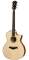Taylor GACE 2012 Fall Limited Edition Acoustic-Electric Guitar