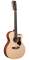Martin GPC12PA4 Grand Performance Artist Series Acoustic-Electric Guitar (12-String, with Case)